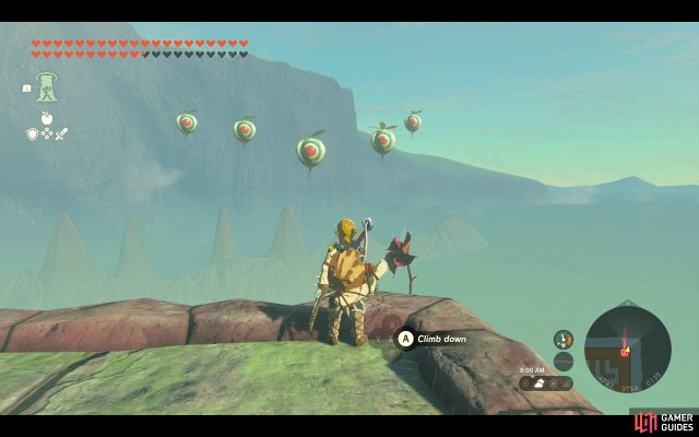 Korok Seed