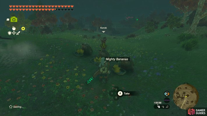 Korok Seed
