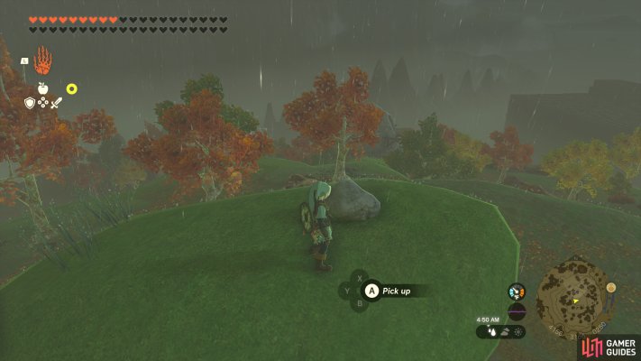 Korok Seed