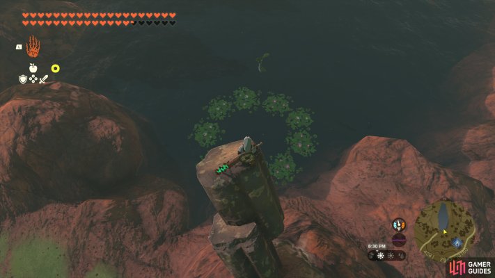 Korok Seed