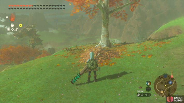 Korok Seed