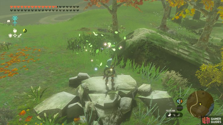 Korok Seed