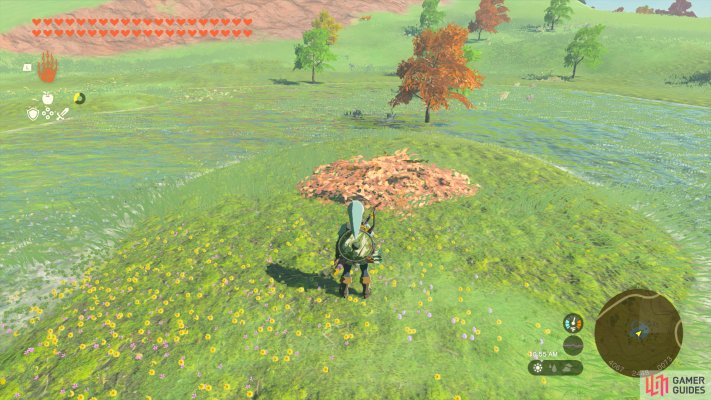 Korok Seed