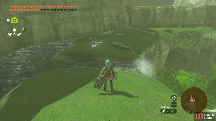 Korok Seed
