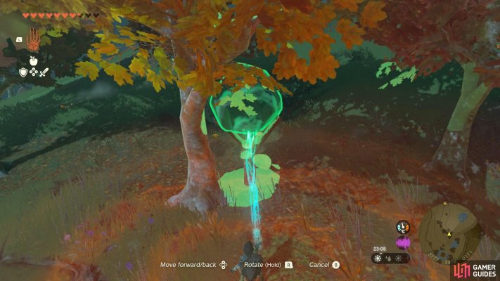 Korok Seed