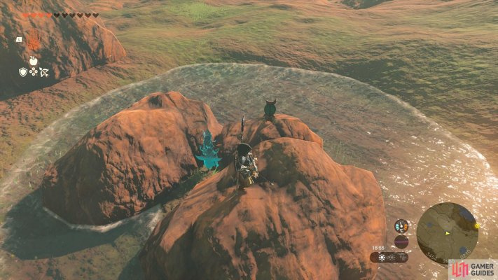 Korok Seed