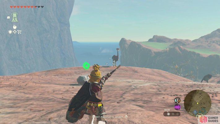 Korok Seed
