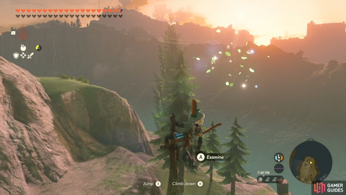 Korok Seed