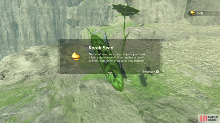 Korok Seed