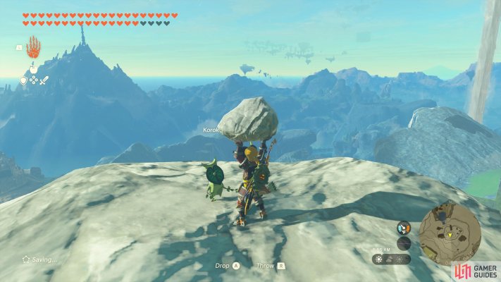 Korok Seed