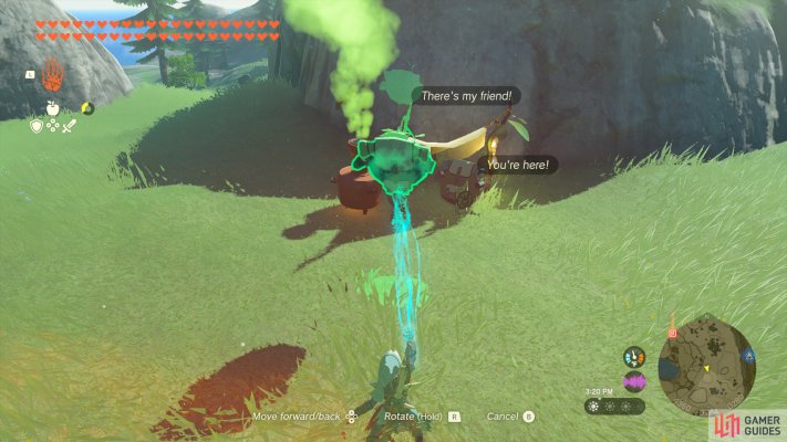 Korok Seed (x2)