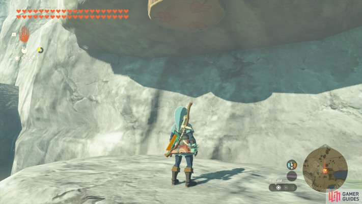 Korok Seed
