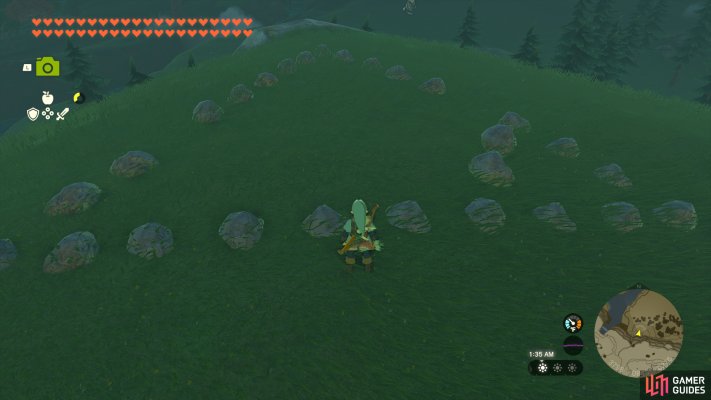 Korok Seed