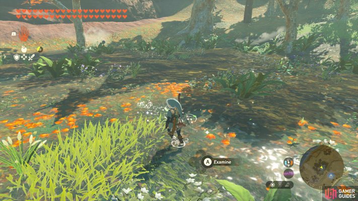 Korok Seed