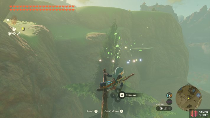 Korok Seed