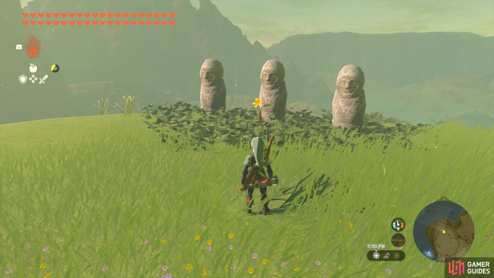Korok Seed