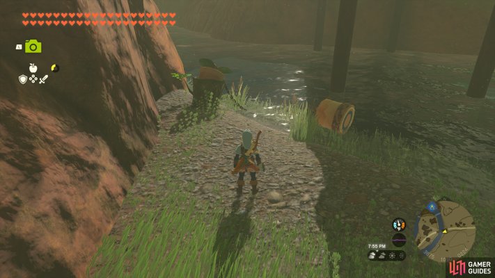 Korok Seed