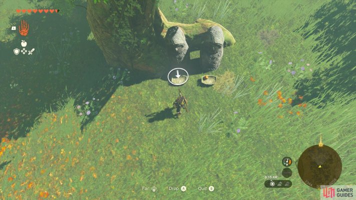 Korok Seed