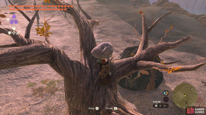 Korok Seed