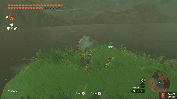 Korok Seed