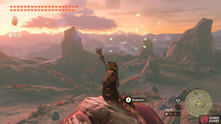 Korok Seed
