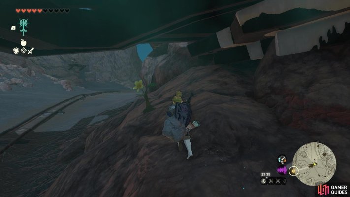 Korok Seed