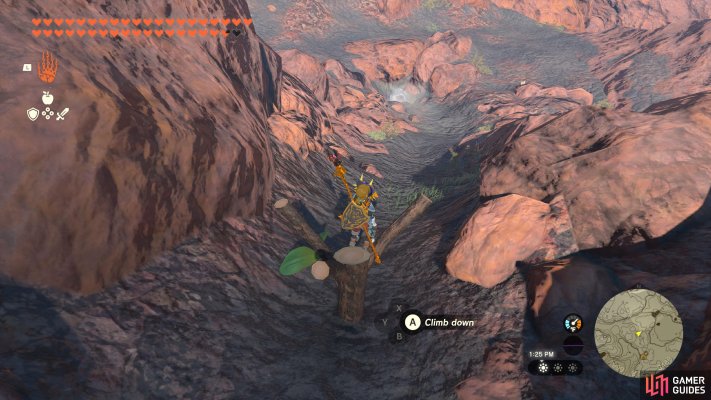 Korok Seed