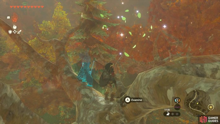 Korok Seed