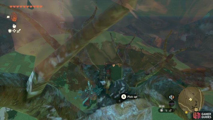 Korok Seed