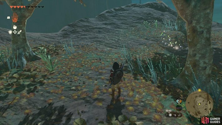 Korok Seed