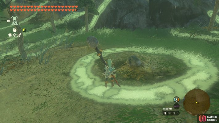 Korok Seed