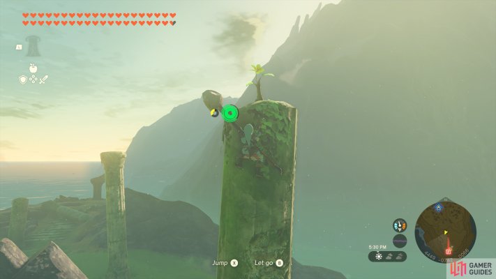 Korok Seed