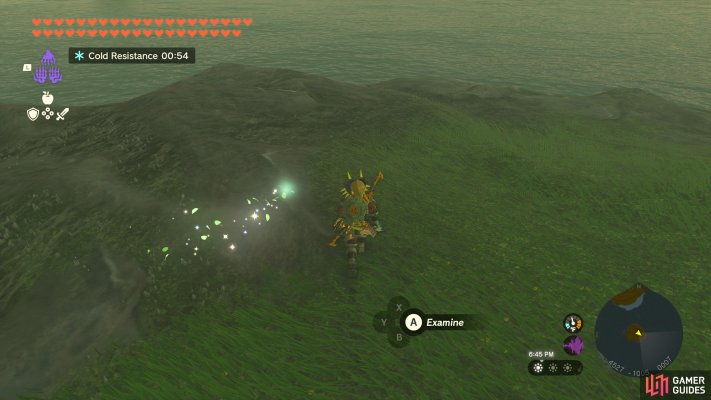 Korok Seed