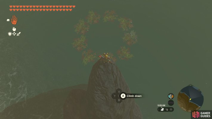 Korok Seed