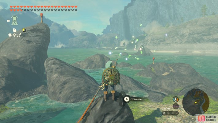 Korok Seed