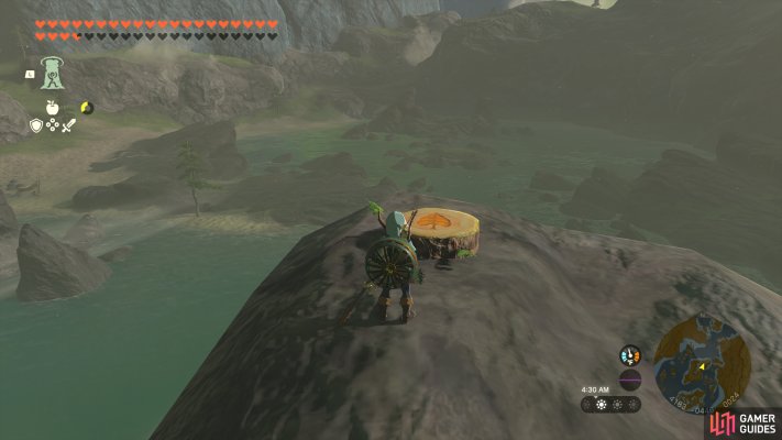Korok Seed