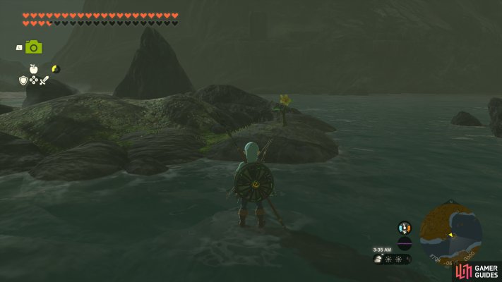 Korok Seed