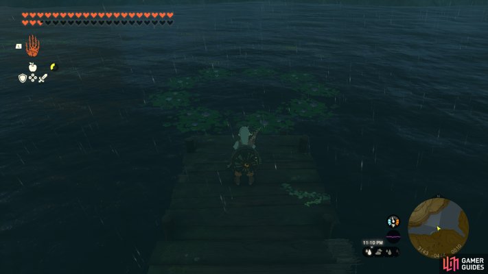 Korok Seed