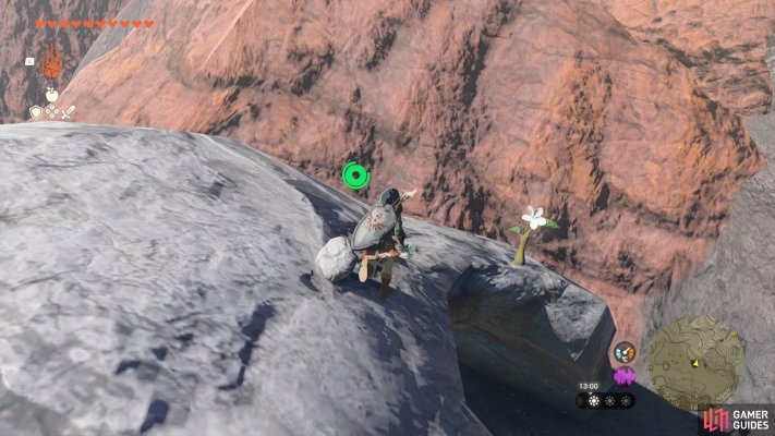 Korok Seed