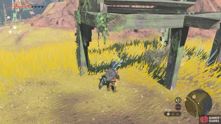 Korok Seed