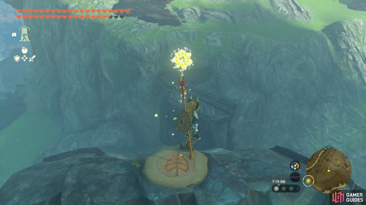 Korok Seed