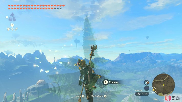 Korok Seed