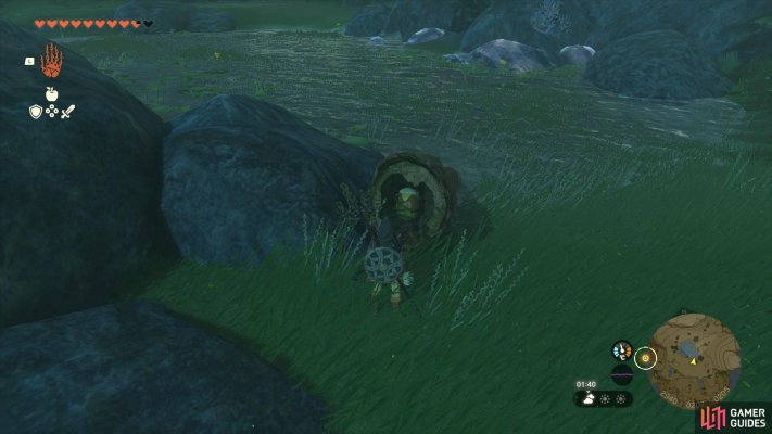 Korok Seed