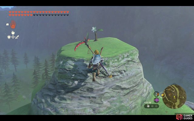 Korok Seed