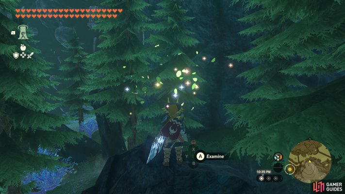 Korok Seed