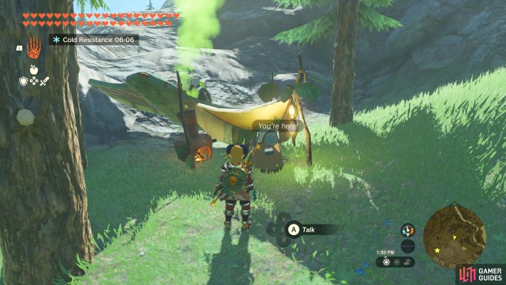 Korok Seed (x2)