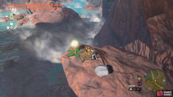 Korok Seed