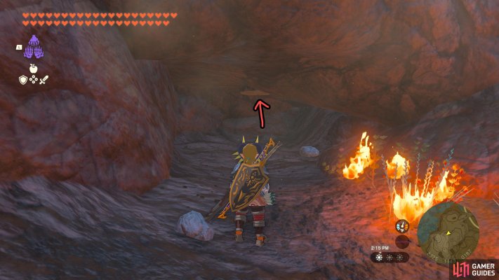 Korok Seed