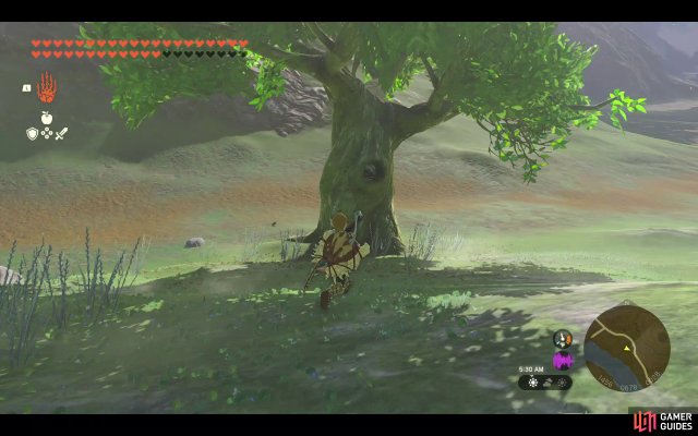 Korok Seed