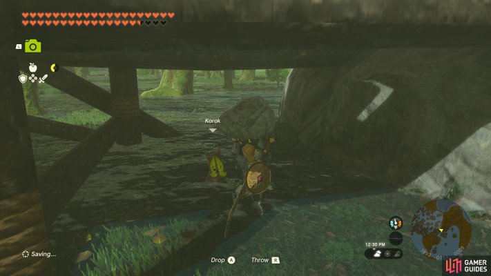 Korok Seed